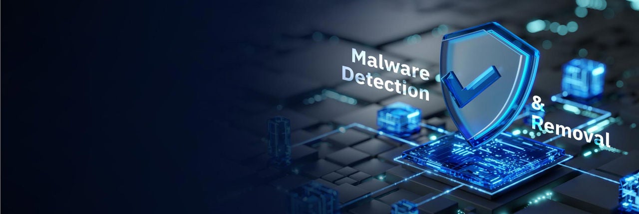 malware detection and removal