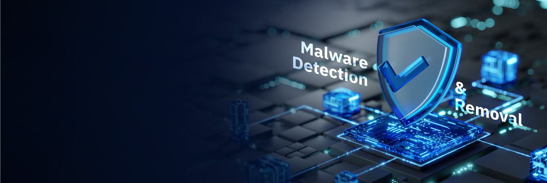 malware detection and removal